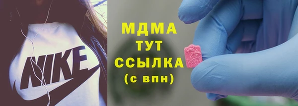 шишки Сатка